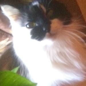 Meet your Posher, Beverly